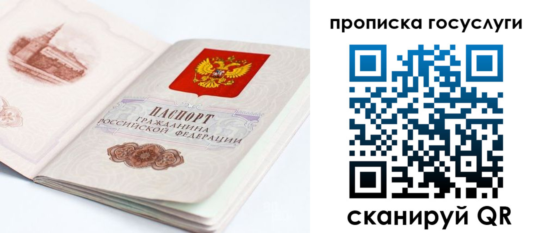 временная регистрация в Чаплыгине